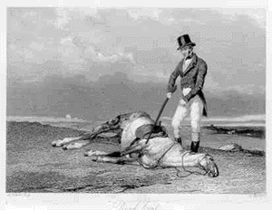 beating a dead horse